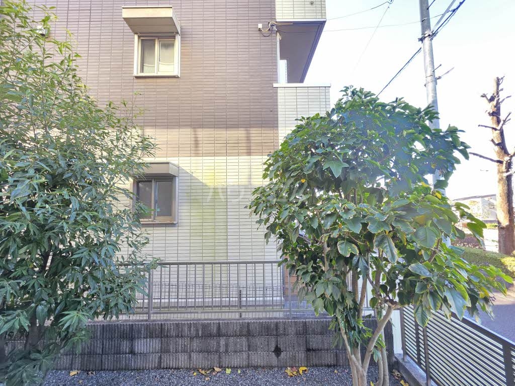 14/16 その他画像