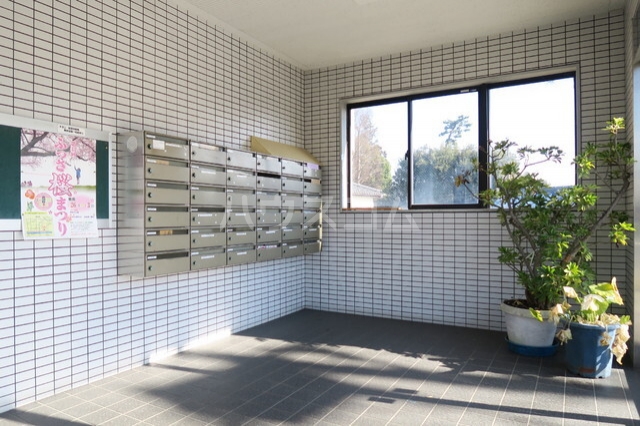 19/25 その他画像