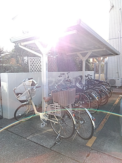 その他画像