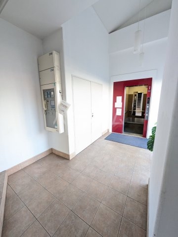 17/29 その他画像