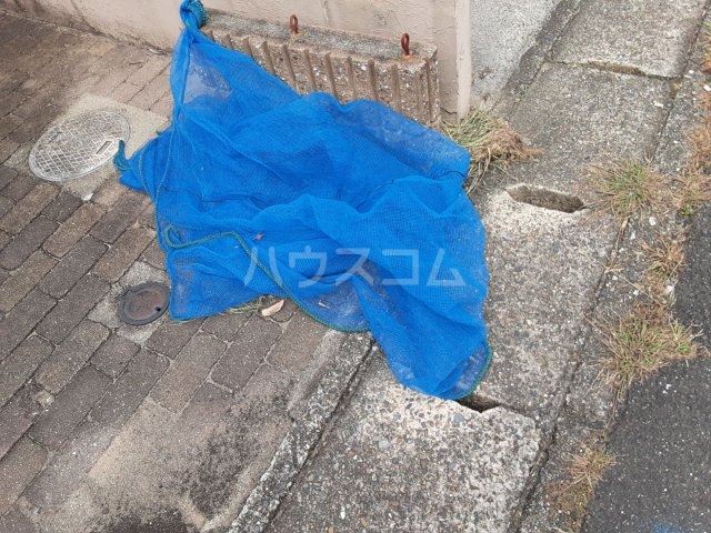 25/30 その他画像