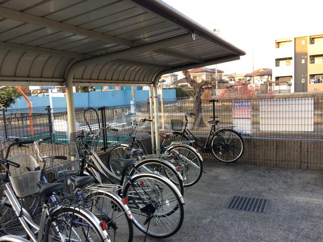 15/29 その他画像