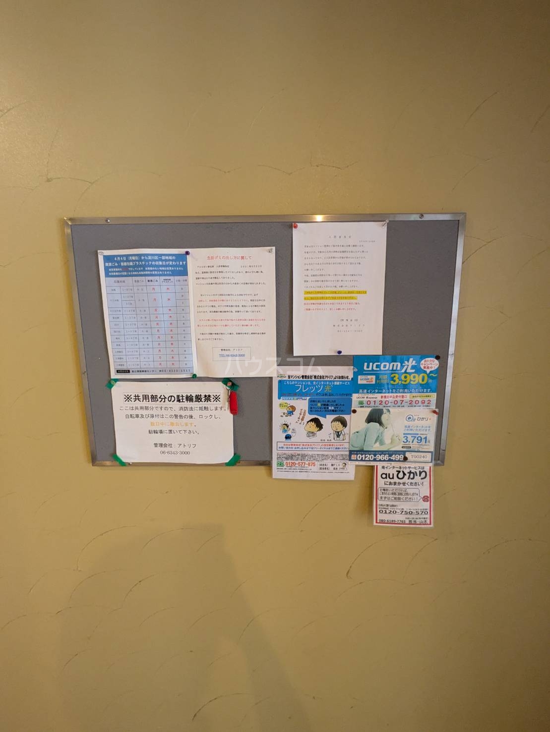 19/24 その他画像