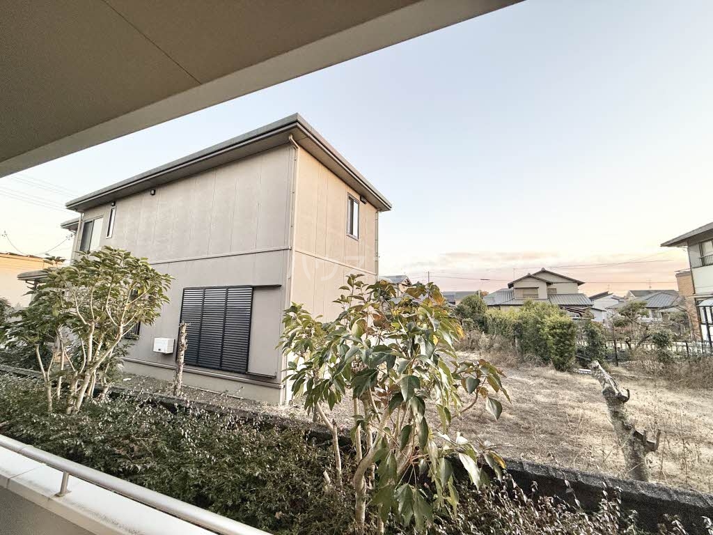 15/19 その他画像