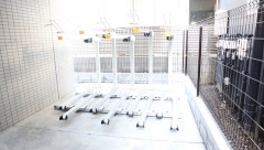 21/24 その他画像