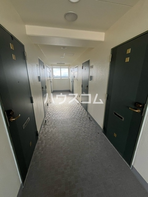 14/29 その他画像