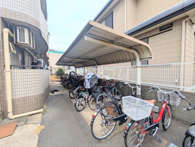 20/30 その他画像