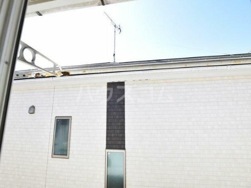 12/17 その他画像