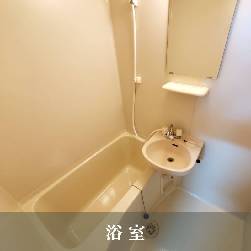 5/11 その他画像