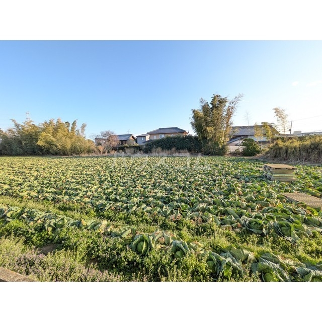 21/23 その他画像