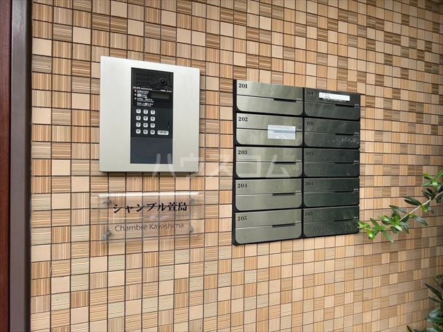 25/30 その他画像