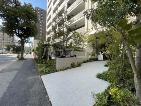 17/23 その他画像