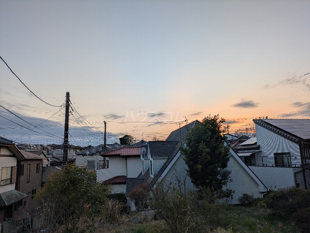 20/30 その他画像