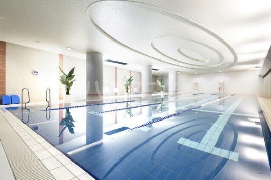 14/26 その他画像