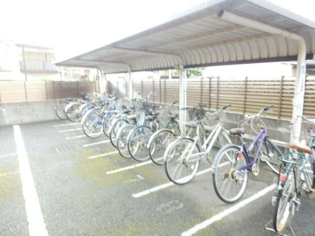 20/30 その他画像