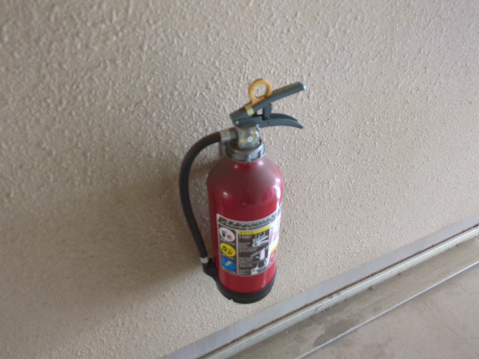 29/30 その他画像