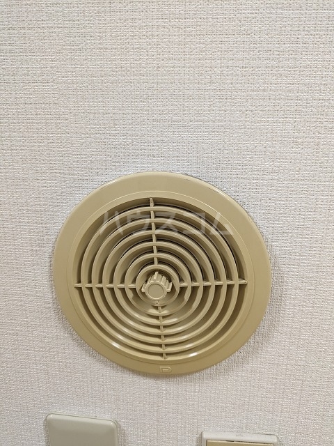 24/29 その他画像