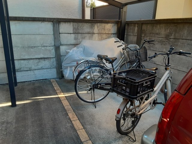 17/29 その他画像