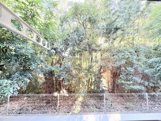 17/20 その他画像