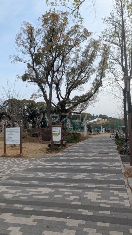 23/29 周辺