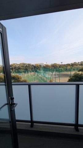 19/26 その他画像