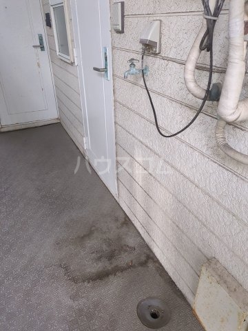 20/20 その他画像