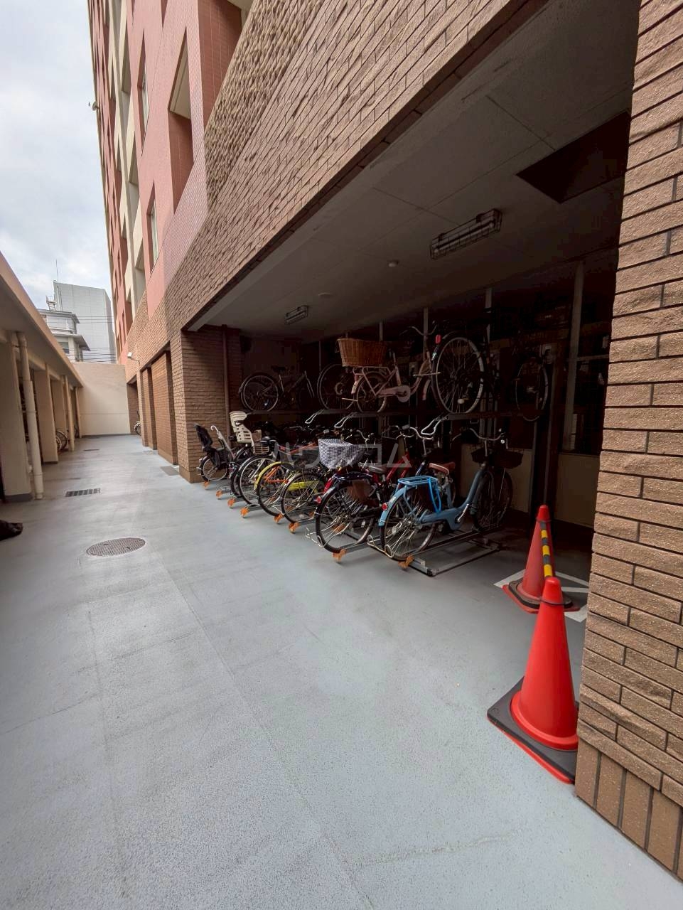 25/30 その他画像