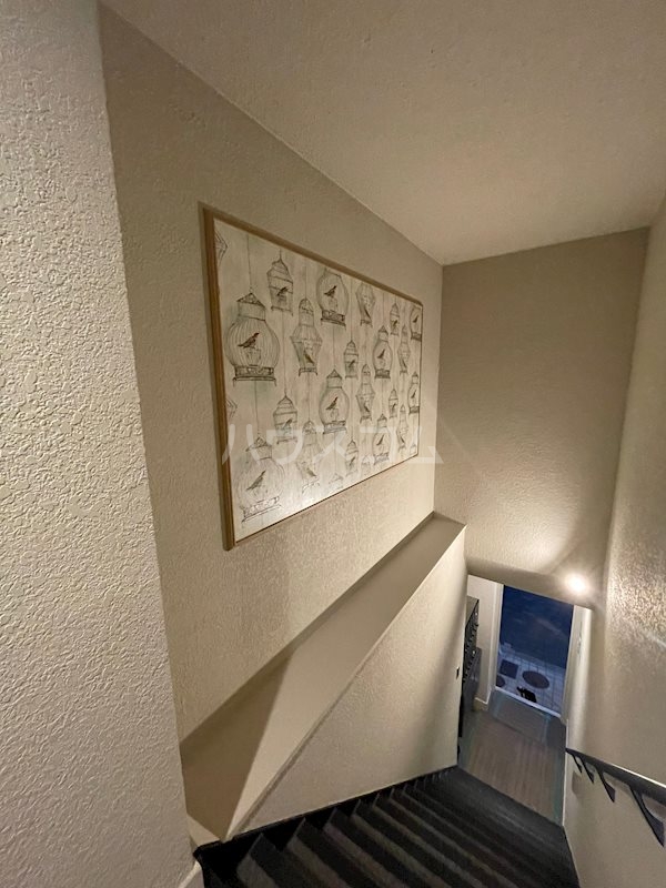 14/24 その他画像