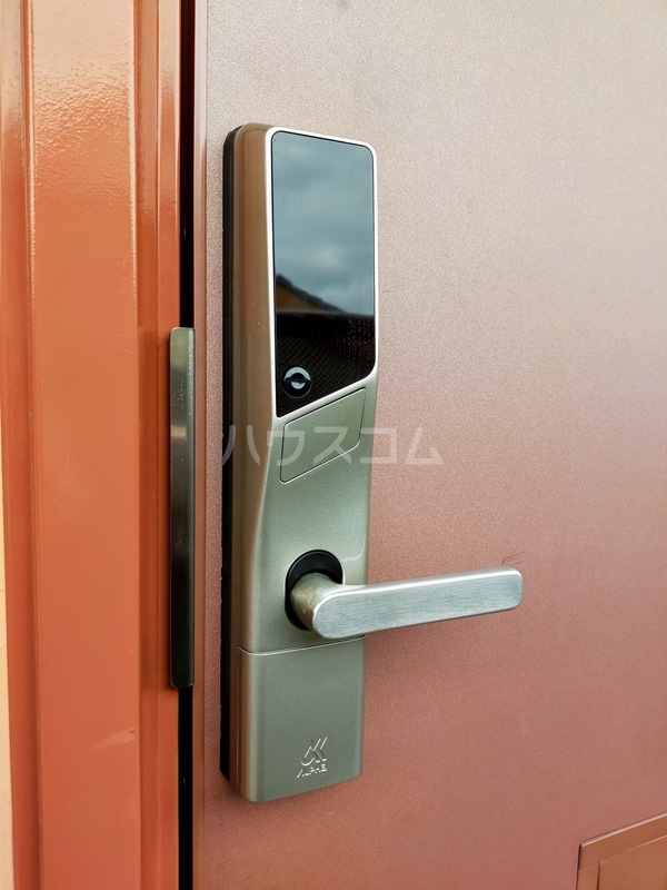 19/29 その他画像