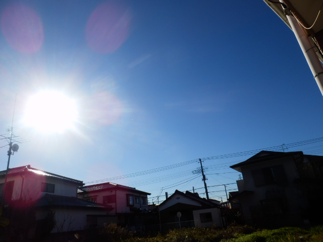 16/29 その他画像