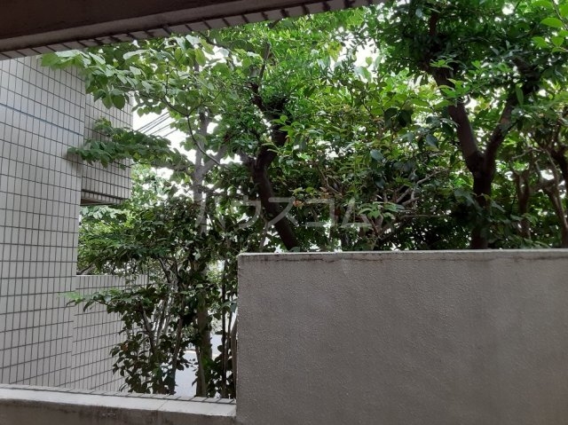 16/30 その他画像