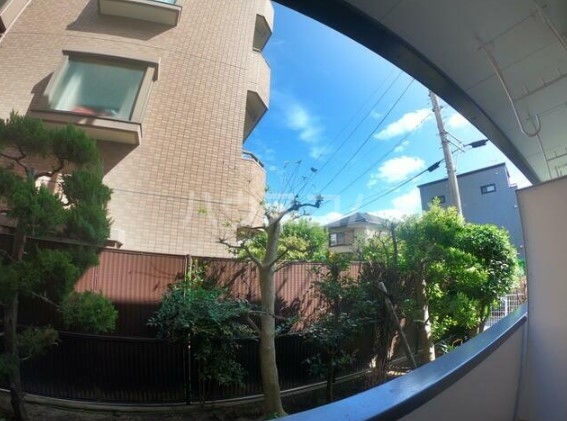 13/19 その他画像