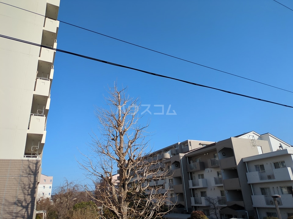 15/20 その他画像