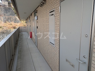 3/13 その他画像