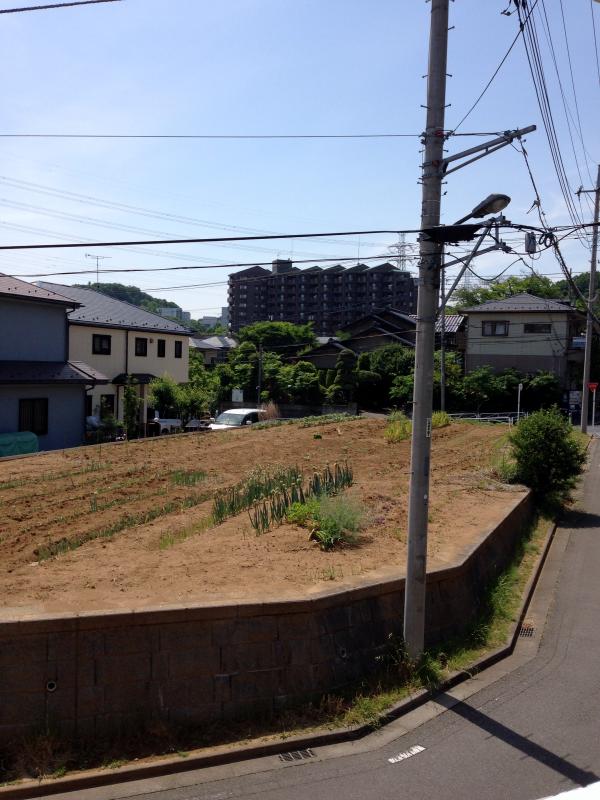 15/27 その他画像