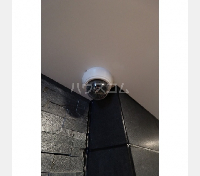 17/25 その他画像