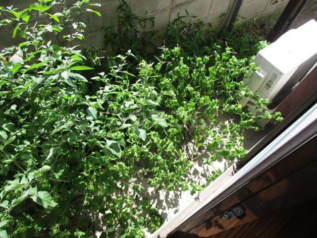 19/27 その他画像