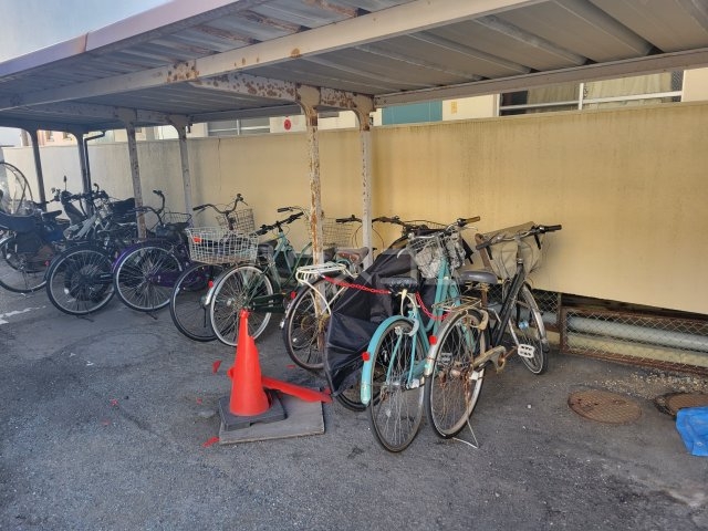 14/19 その他画像