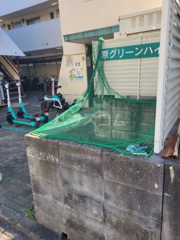 15/19 その他画像