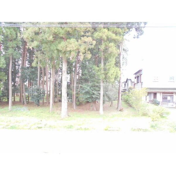 12/20 その他画像