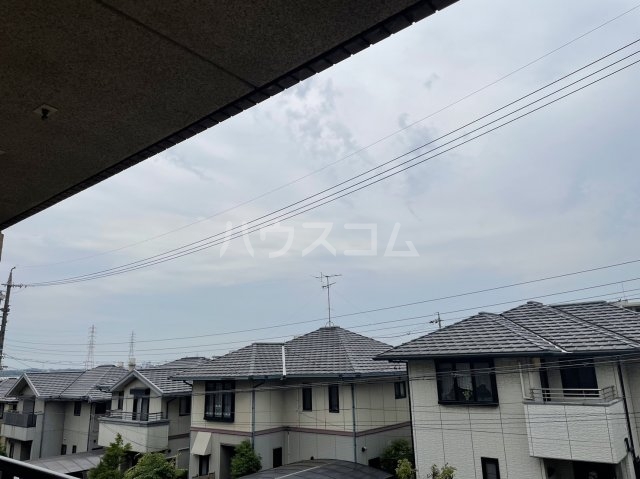 3/14 その他画像