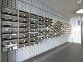 17/29 その他画像