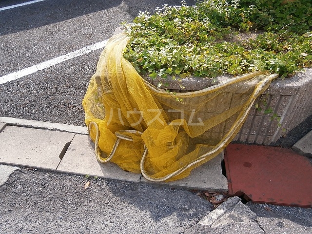 25/30 その他画像