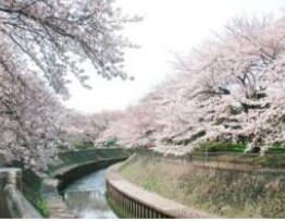 13/30 その他画像