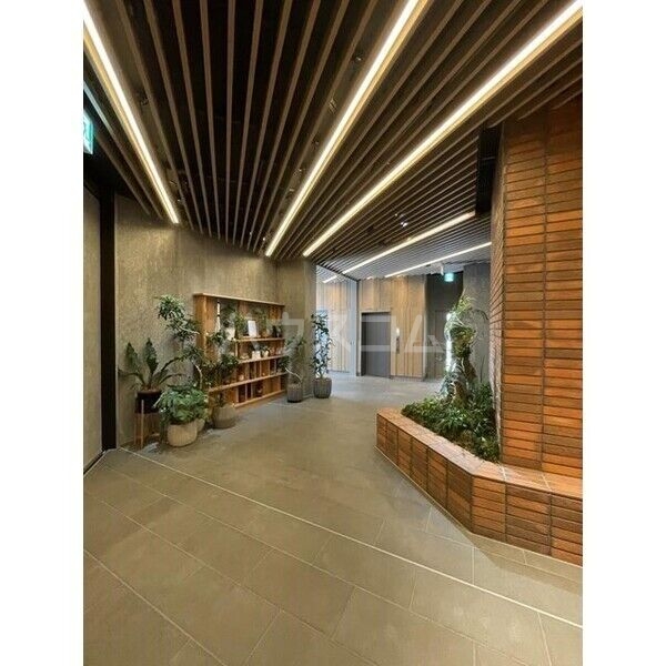 3/15 その他画像