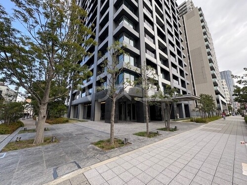 5/17 その他画像