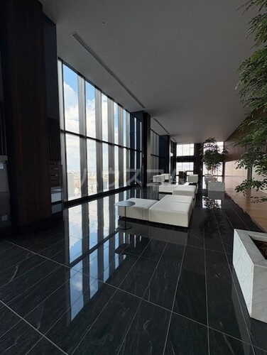 6/17 その他画像