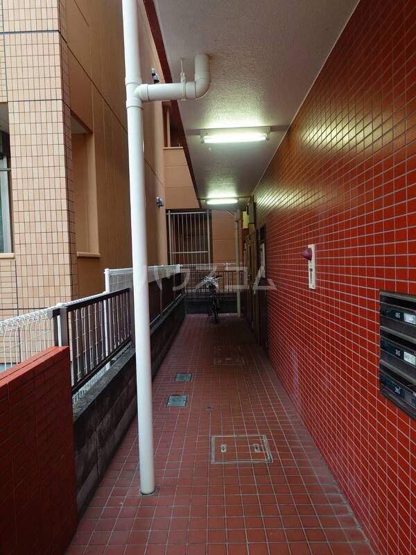 3/15 その他画像