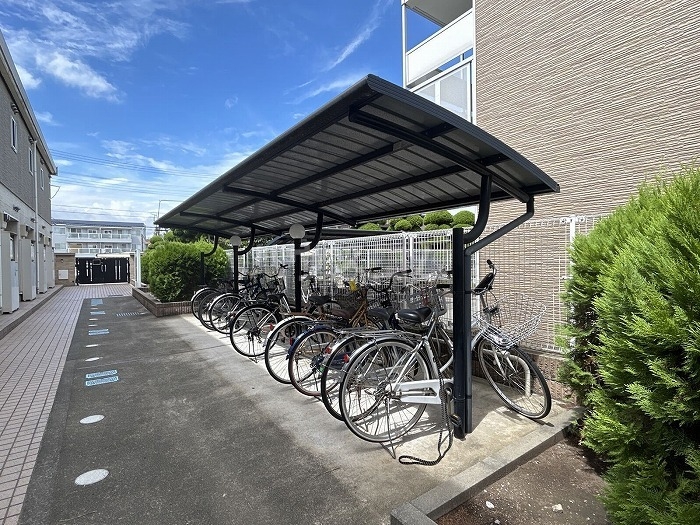 20/30 その他画像