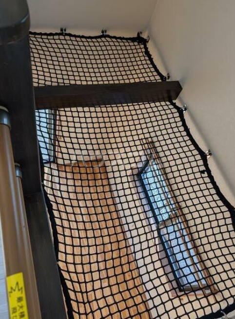 11/21 その他画像